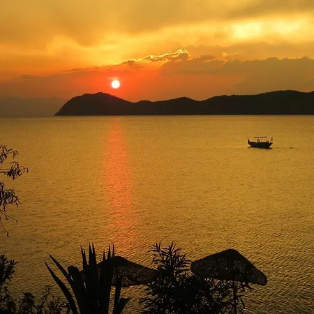 Saranda Pensionat 2*