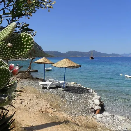 Pensionat Saranda 2*