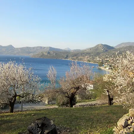 Saranda 2*