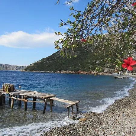 Pensionat Saranda Sogut (Aegean)