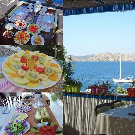 Saranda Sogut (Aegean)